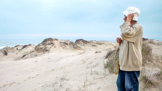 La zona es objeto de un proceso judicial para determinar la titularidad de los predios, algo que no está claro. Foto: Nicolás Garrido / Búsqueda