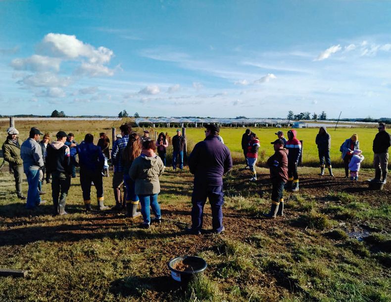 En el período 2020-2024 en los Proyectos Senda se involucró a 15 agentes territoriales de desarrollo rural y 419 personas participantes