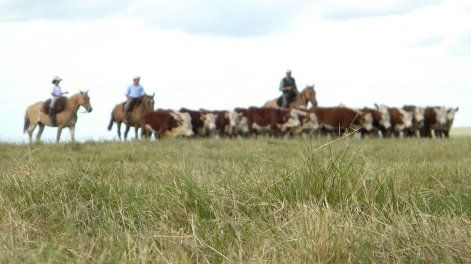 Este último Censo General Agropecuario tiene como antecedente uno de 2011