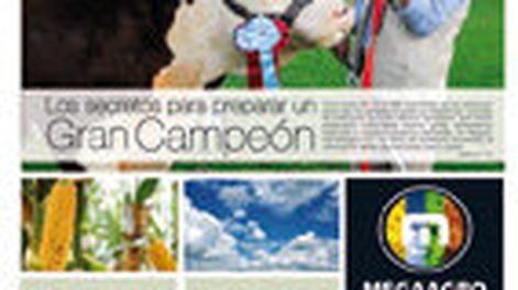 imagen de El agro contado por Campo en sus primeros dos años de historia