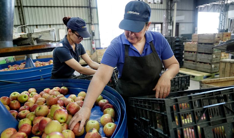 El desempleo en el interior del país se ubicó en 8,7% de la población activa