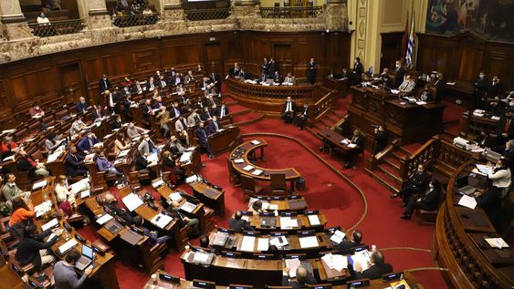Seis diputados declaran patrimonio negativo. Foto: Nicolás Der Agopián / Búsqueda Seis diputados declaran patrimonio negativo. Foto: Nicolás Der Agopián / Búsqueda