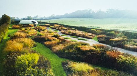 Búsqueda | 826787.jpg