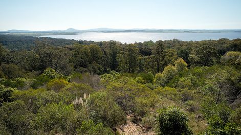 imagen de OSE proyecta tratar con ozono el agua de Laguna del Sauce para combatir las cianobacterias; será pionera en la región