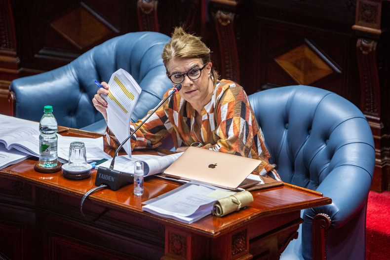 Senadora del Frente Amplio, Silvia Nane