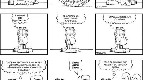 Búsqueda | 89252.jpg