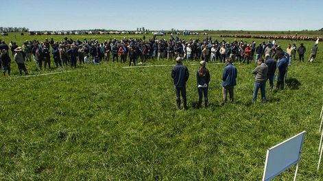 La Querencia, de Stolovas, recibió la jornada Pasturas de PGG Wrightson Seeds