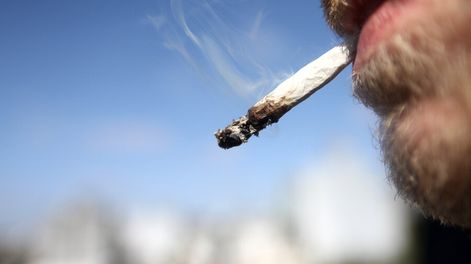 Búsqueda | 49825.jpg