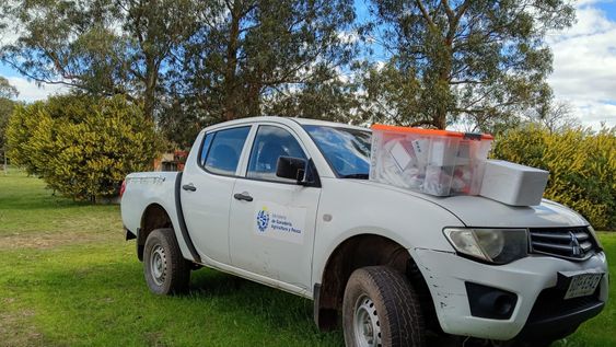 El MGAP realizó inspecciones en la zona donde se confirmó un caso de influenza aviar en Colonia.