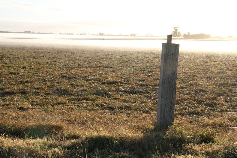 Miles de hectáreas de tierras serán desafectadas de la administración estatal, lo que valorizará esos campos y liberará a sus propietarios de la posibilidad de
