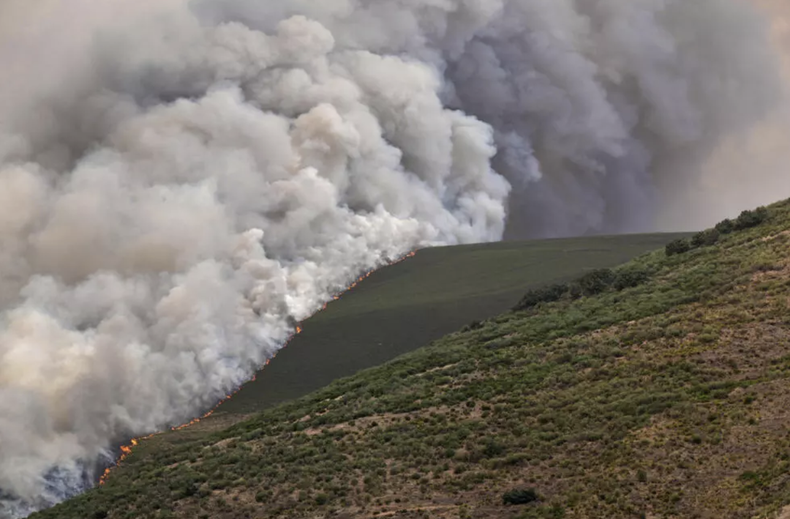 España y Portugal se han visto gravemente afectados por una sucesión de olas de calor y sequías, que han alimentado una ola de incendios forestales