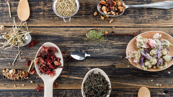 un taller para volver al ritmo natural a traves de la medicina de las plantas