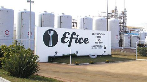 Planta de Efice.