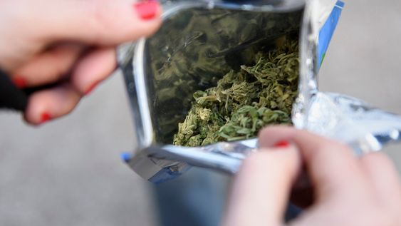 Las farmacias comenzaron a vender marihuana en bolsas de cinco gramos el 19 de julio de 2017 Las farmacias comenzaron a vender marihuana en bolsas de cinco gramos el 19 de julio de 2017