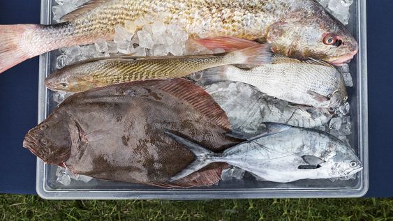 los duenos de la costa los duenos de la costa