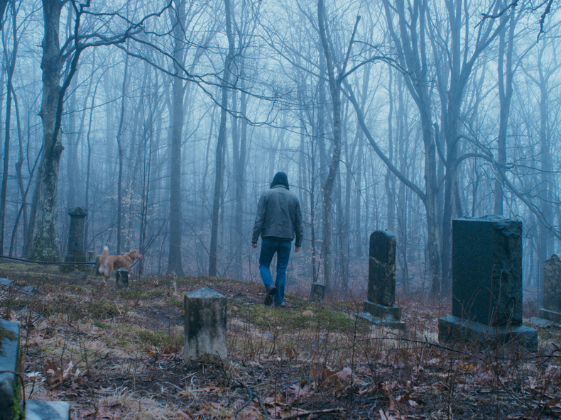Goodboy, uno de los estrenos del Festival de Terror y Sangre.