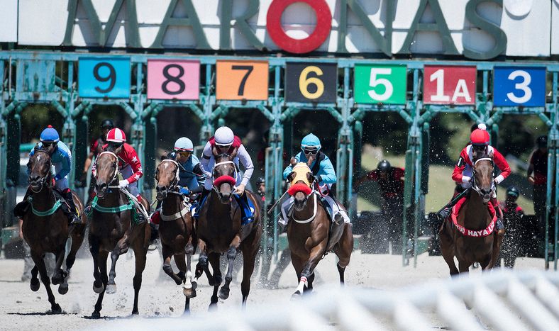 El Gran Premio Ramírez del 2018 en el Hipódromo de Maroñas.