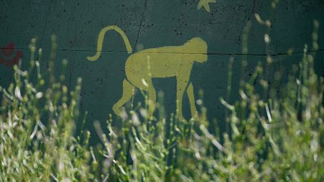 Parque Villa Dolores, en Montevideo