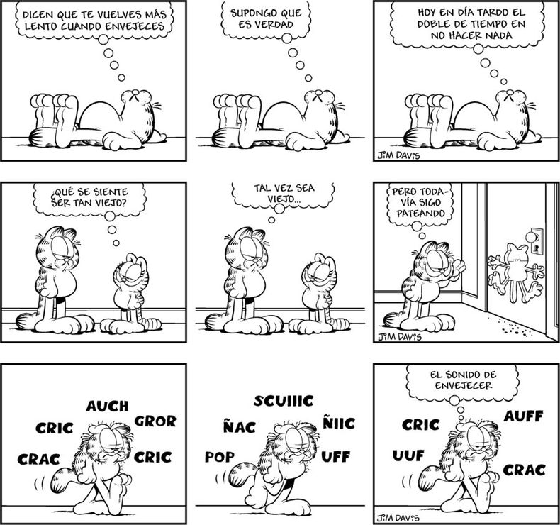 imagen de Garfield