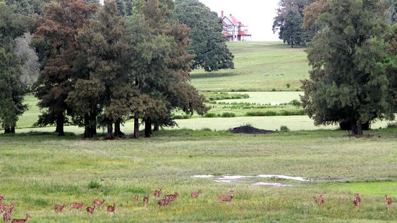 imagen de Entre truco y cordero, el Poder Ejecutivo definió sus prioridades para el año bajo la consigna de que “cada peso cuesta” imagen de Entre truco y cordero, el Poder Ejecutivo definió sus prioridades para el año bajo la consigna de que “cada peso cuesta”