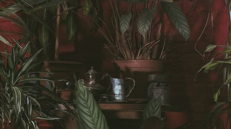 Foto: Sebastián Aguilar