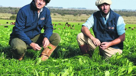 Los hermanos Enrique y Diego Albanell, directores de El Yunque. Foto: Revista Verde