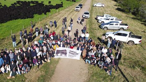 Se estima que unas 300 personas participaron de la gira anual de la raza Aberdeen Angus por establecimientos de Rocha