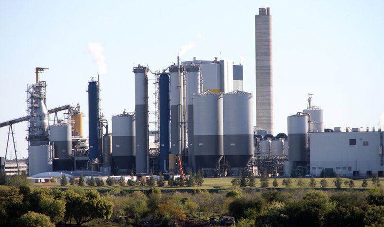 imagen de Un analista afirma que “se haga o no”, la segunda planta de UPM  “cambió estructuralmente” la perspectiva económica para Uruguay
