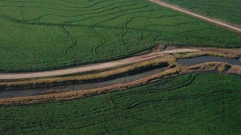 En los años recientes cobraron impulso los sistemas de rotación de arroz, soja y ganado, específicamente en zonas del este.