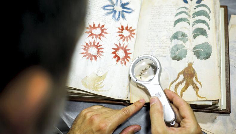 imagen de Gigantes, diminutos o encuadernados con piel humana: los libros más extraños del mundo