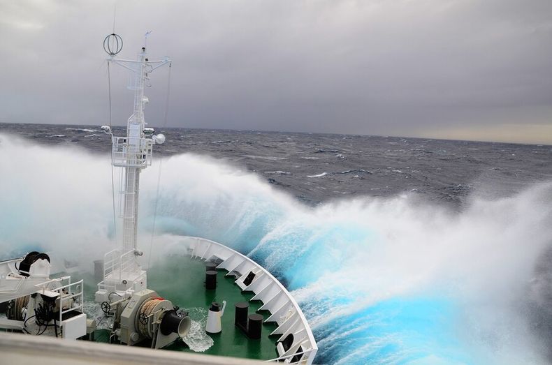 imagen de Comenzó negociación para cuidar biodiversidad en alta mar; Uruguay estudia proteger sus zonas marinas y la Antártida