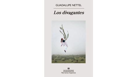 Búsqueda | 87209.jpeg