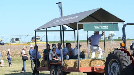 imagen de Montes del Plata Alianzas, ?activa en el campo