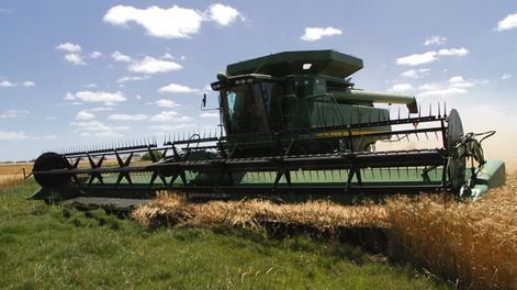 imagen de Preocupa el impacto de baja de precios  y del plan de consolidación fiscal en el agro