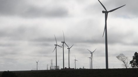 Los parques eólicos, el inicio de la “privatización” de UTE, según su director. Foto: Nicolás Der Agopian / Búsqueda
