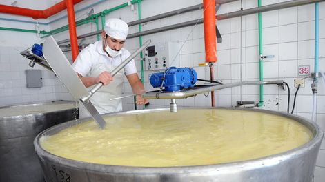 Producción de queso. Nicolás Celaya / adhocFotos
