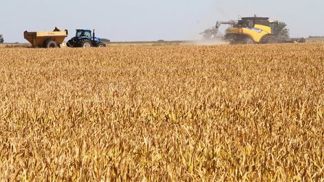 imagen de Ante “deterioro significativo” del clima de negocios, la Cámara Mercantil pidió incentivos fiscales para exportaciones del agro