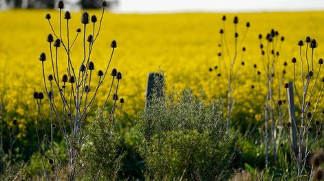 Foto: Javier Calvelo/ adhocFOTOS