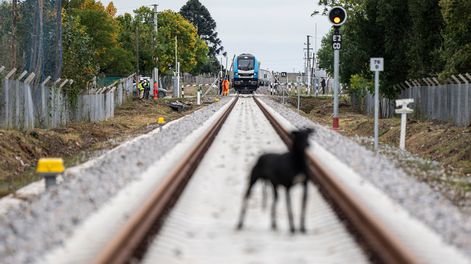 El Ferrocarril Central es la PPP con mayor inversión y gasto involucrado