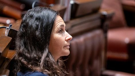 Diputada Nicolle Salle.