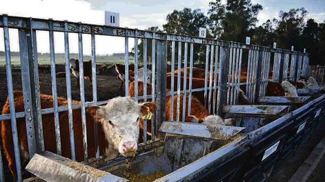 La prueba de eficiencia de conversión se realiza en la Central Kiyú
