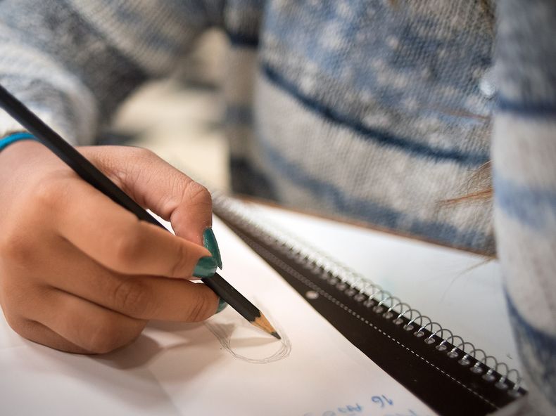 Estudiante de Secundaria.