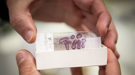 Búsqueda | Los estudios genéticos “están cada vez más democratizados”, aseguró la directora general de DASA Latinoamérica. Foto: Nicolás Garrido / Búsqueda