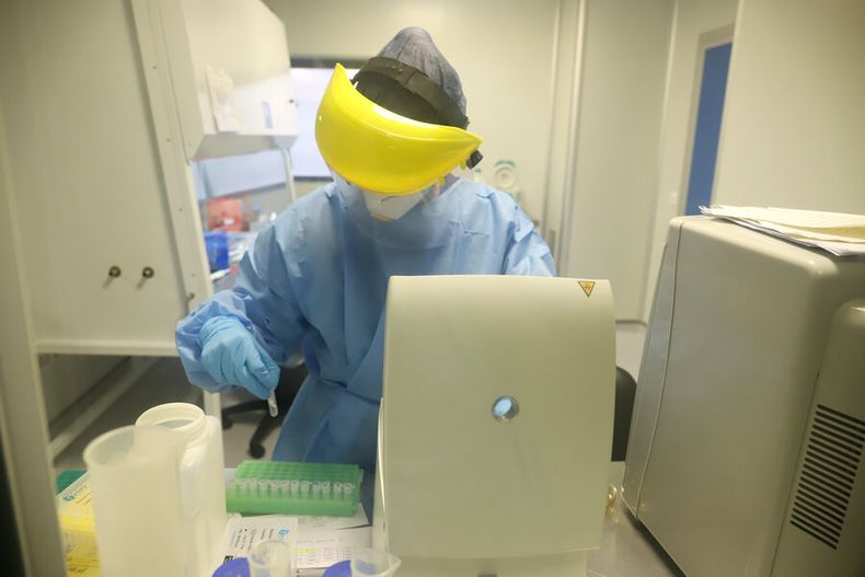 Parte del personal contratado para detectar e investigar el virus se dedicará a otras actividades de vigilancia y genómica dentro de los centros científicos