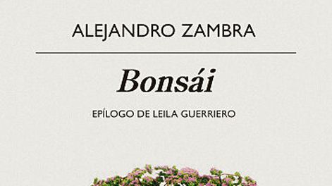 Búsqueda | 81229.jpg