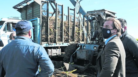 Lacalle Pou en la zafra cañera en Bella Unión. Foto: Presidencia