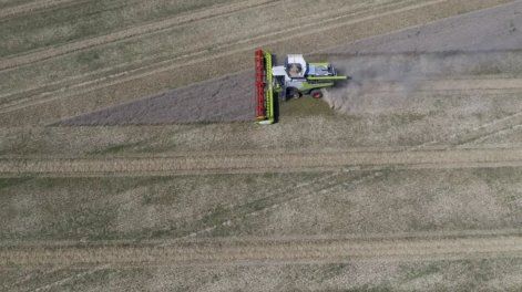 La contaminación por cadmio se produce principalmente a través de los alimentos, debido a su presencia en fertilizantes, especialmente para el cultivo de trigo. Aquí, una cosechadora en un campo de trigo durante la cosecha en Lommerange, noreste de Francia, el 10 de agosto de 2024