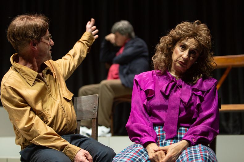 Gustavo Saffores, Fernando Dianesi y Roxana Blanco en Madre ficción