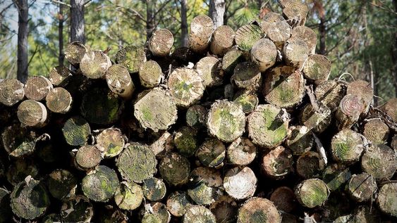 Foto: Ricardo Antúnez / adhocFOTOS Foto: Ricardo Antúnez / adhocFOTOS