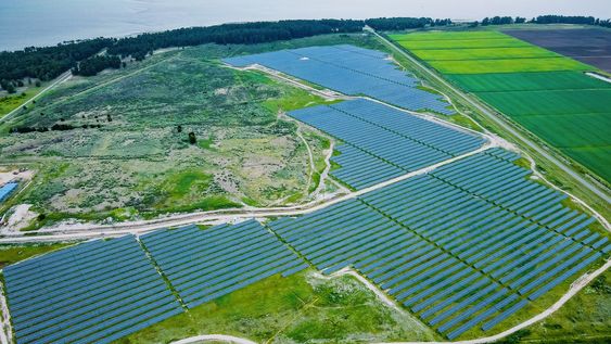 El primer parque solar fotovoltaico de UTE en Punta del Tigre, en San José&nbsp;